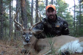 8pt