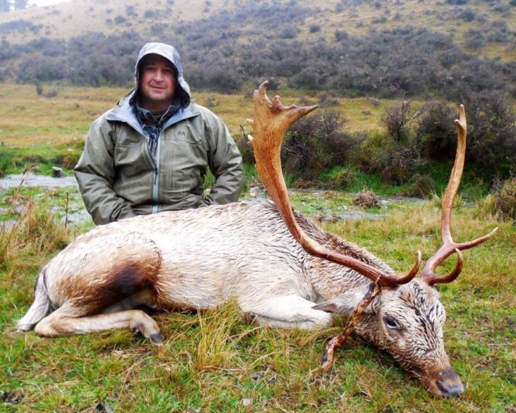A cunning old Buck caught out in the rain down on the fields.