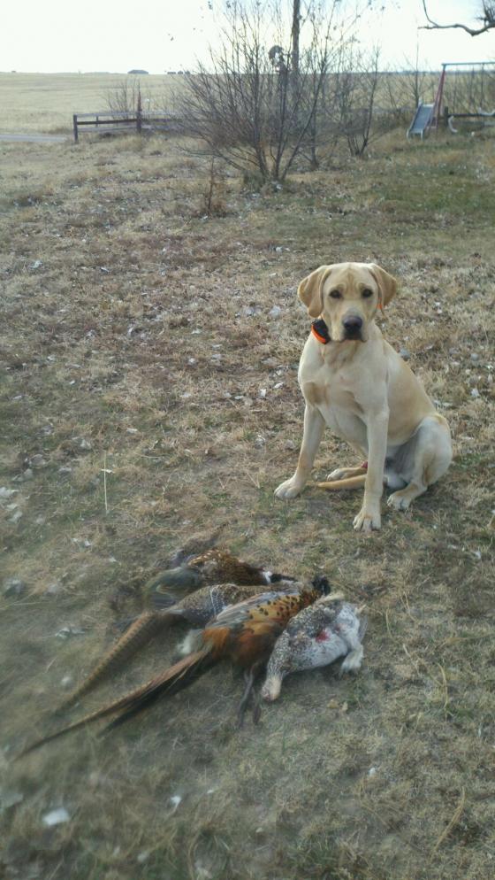 A mixed bag.  Year one for Mav.