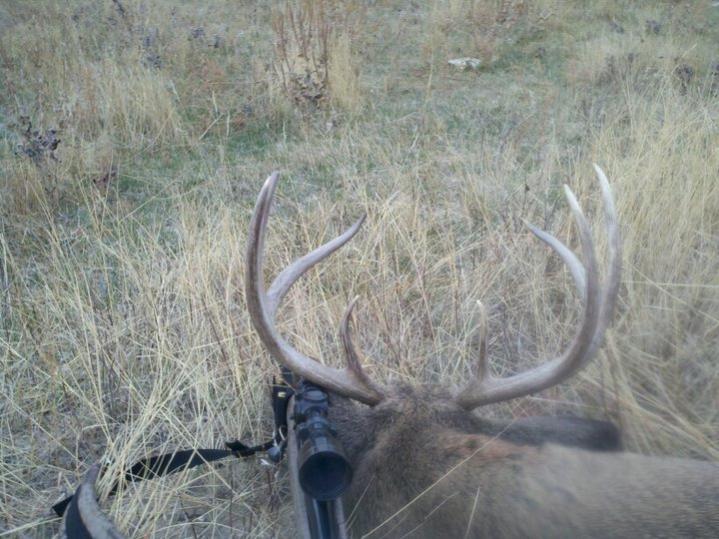 A whitetail I shot in 2010 off of a friends place between Crawford and Chadron.