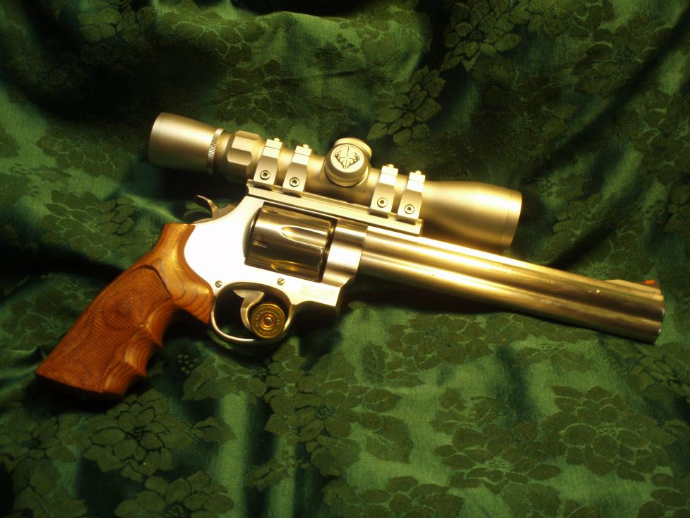 &amp; W 629-5 Classic DX  in .44 Magnum;  Bushnell 2 x 6 Trophy scope in Weigand Rings and Mount. Hogue custom Rosewood grips.