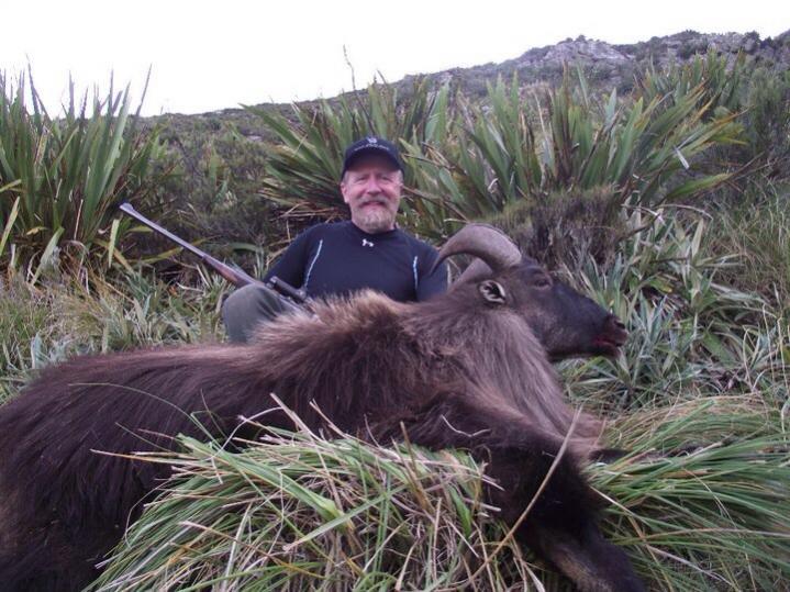 Another early season Bull harvested in the bush.