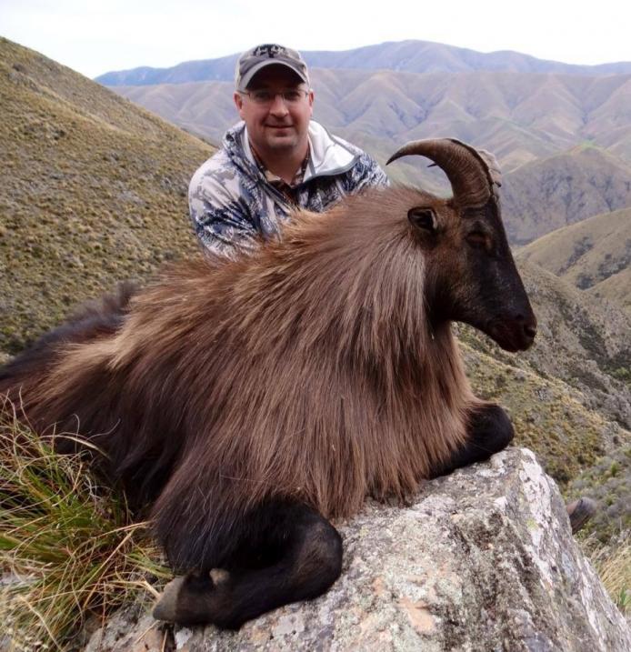 Another great Bull with an awesome coat.