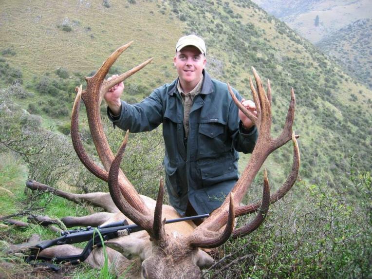 Another great heavy beamed typical Red Stag.