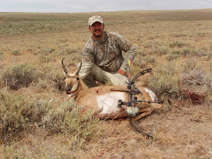 Antelope 1