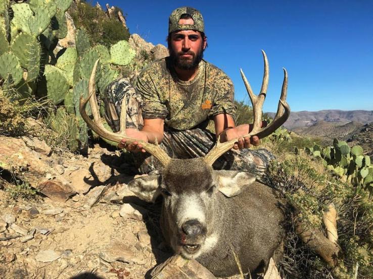 AZ Deer