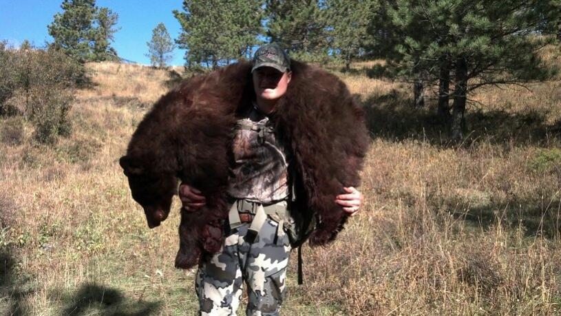 bear 1