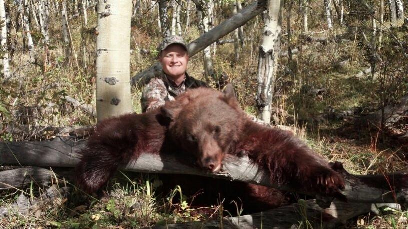 bear (2)