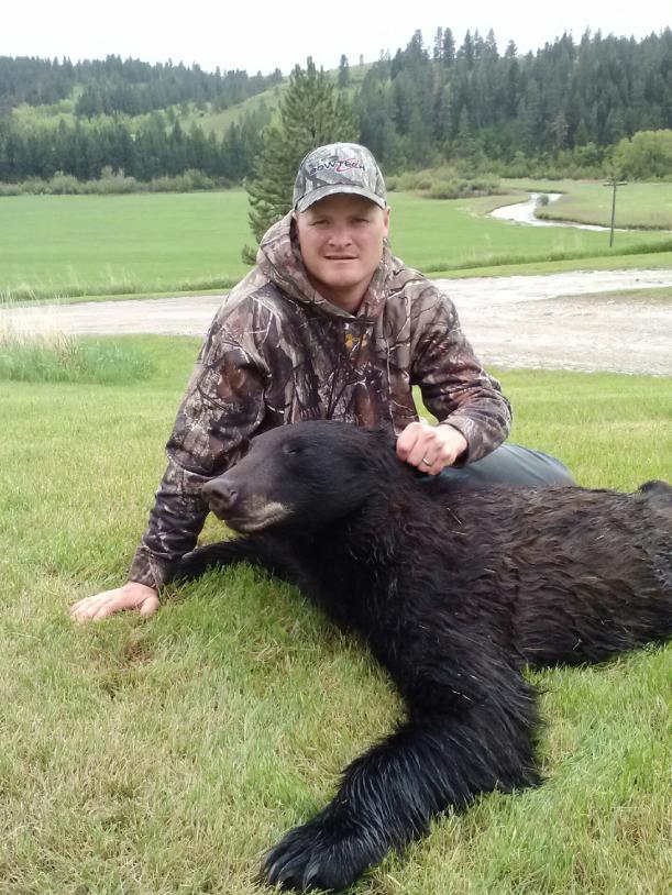bear