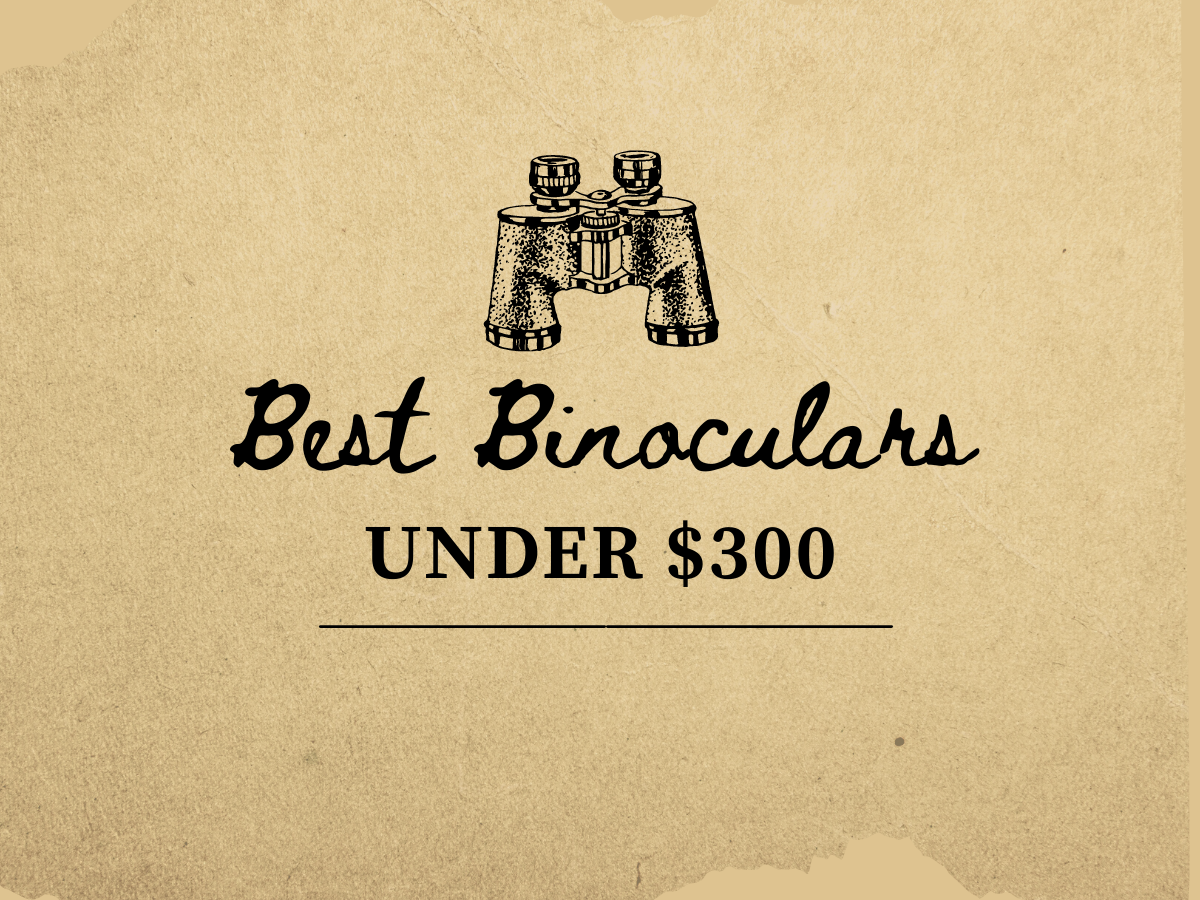 Best Binoculars Under $300.png