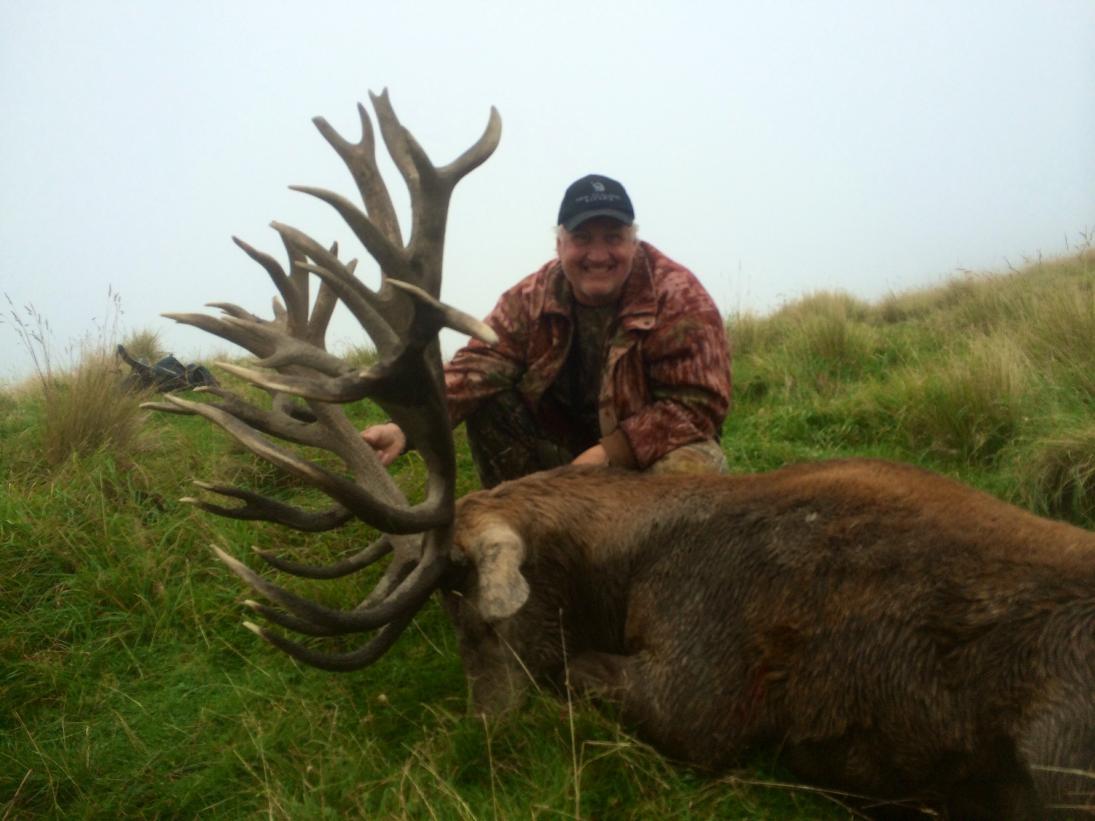Big 34 pointed 440 inch Stag from March 2014.