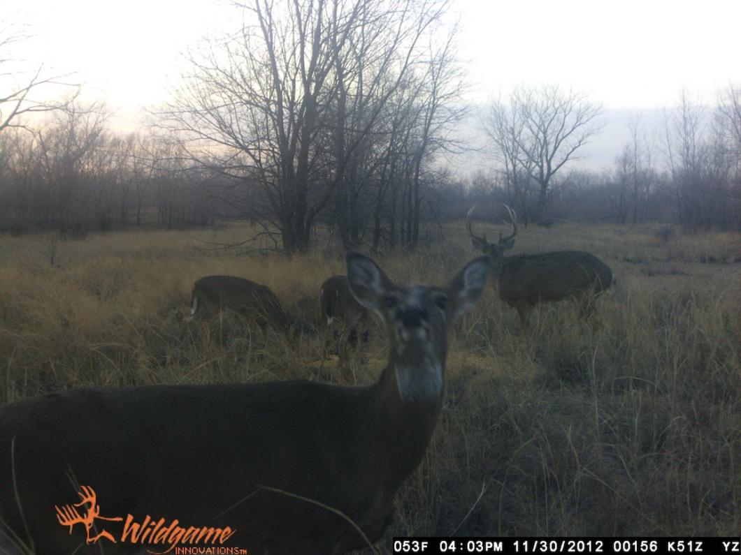 big 9