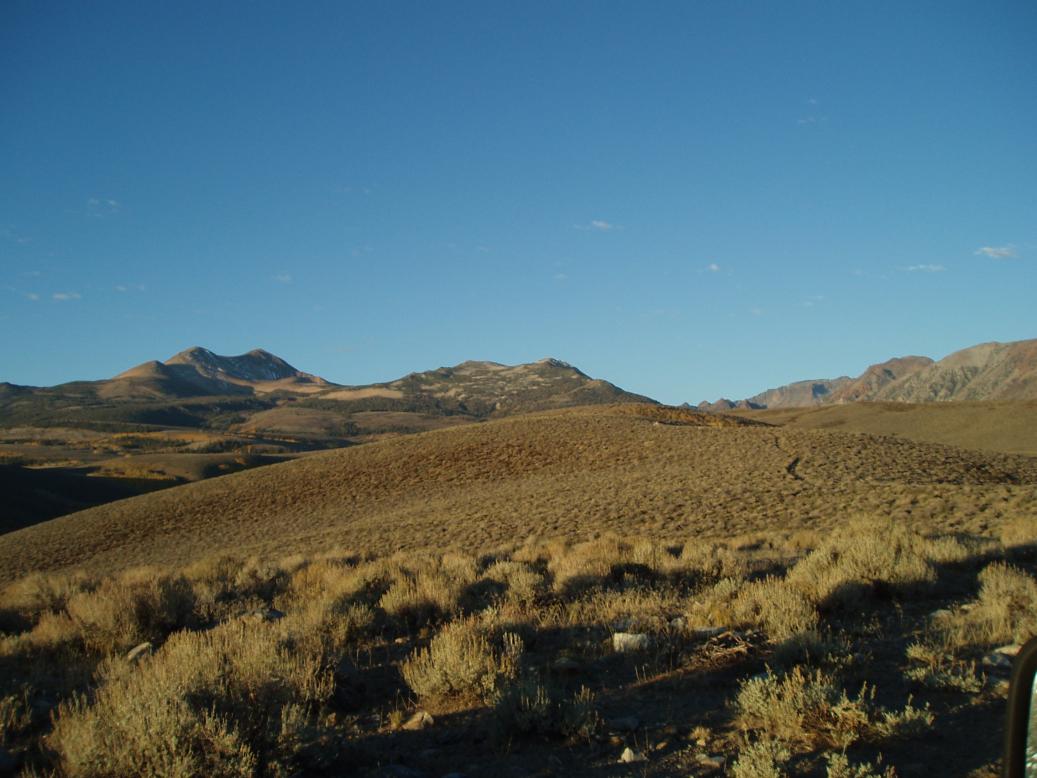 Bodie Hills near Bridgeport California