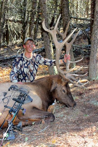 Buddies 2012 Bull. 302&quot; OTC