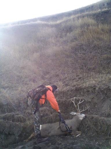 Buddy's 150&quot; Public Land mulie