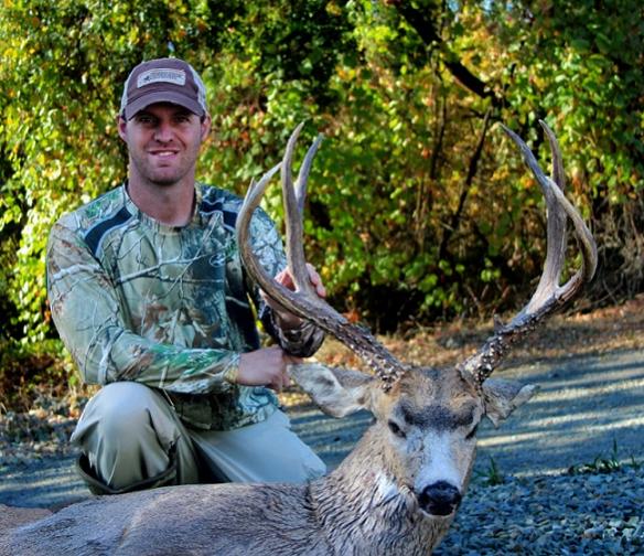 California blacktail