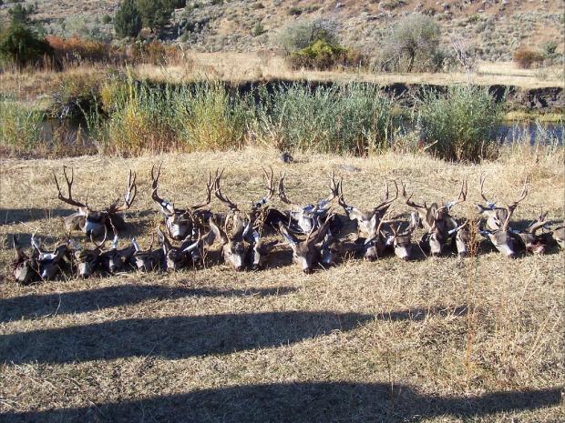 camp bucks not bad huh?