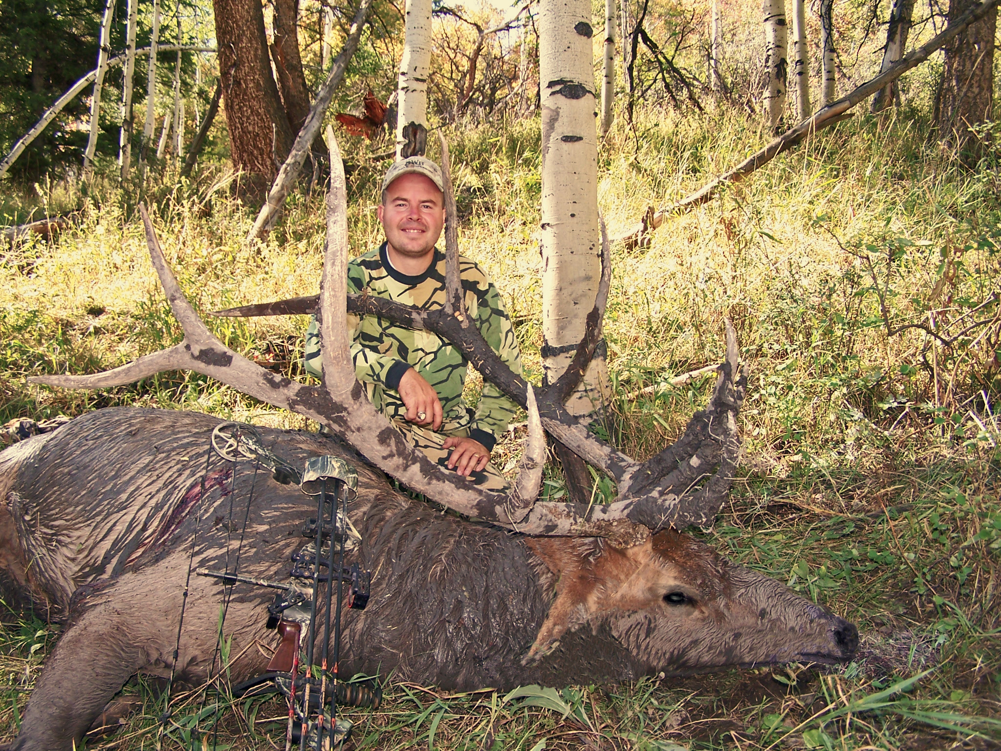 Chads,_Utah_2007_bull_1[1].jpg