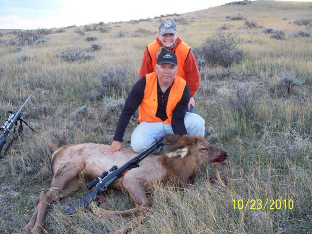 Cheryl's Calf #1
Breaks