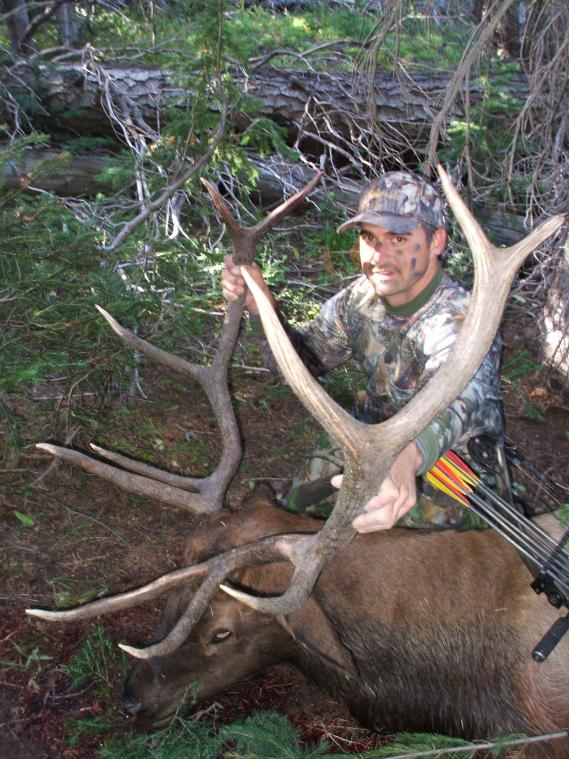 Colorado Elk 2010 020