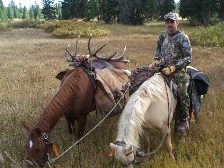 Colorado Elk 2010 026