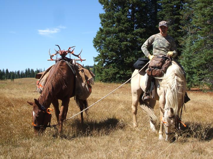 Colorado Elk 2010 077