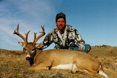 D 2001 whitetail