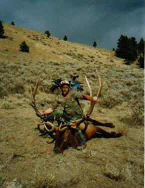 D 95 archery elk