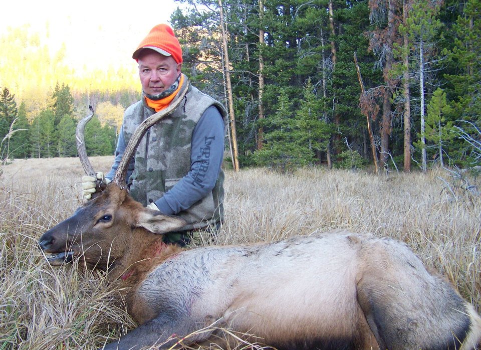 Dad's bull.jpg