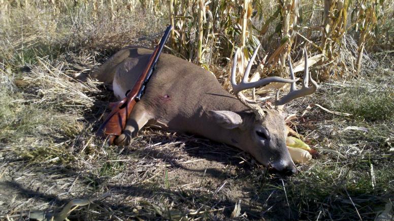 Dads muzzleload whitetail