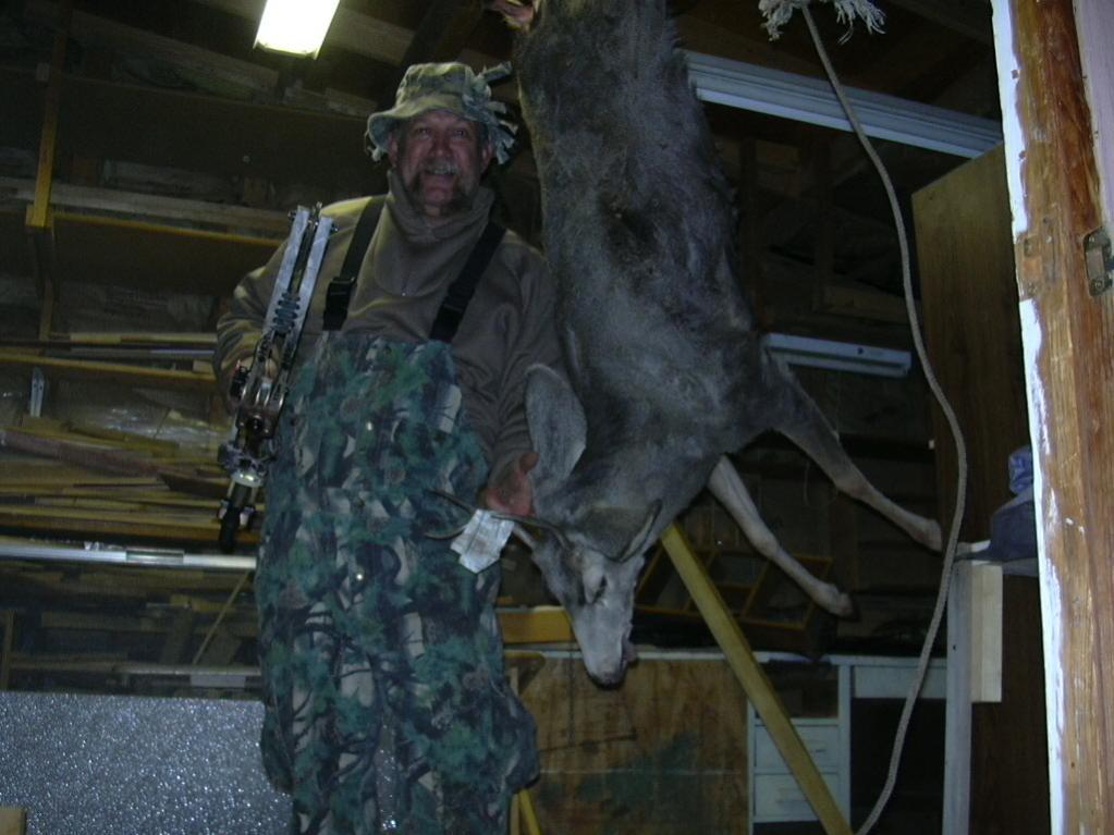 deer1