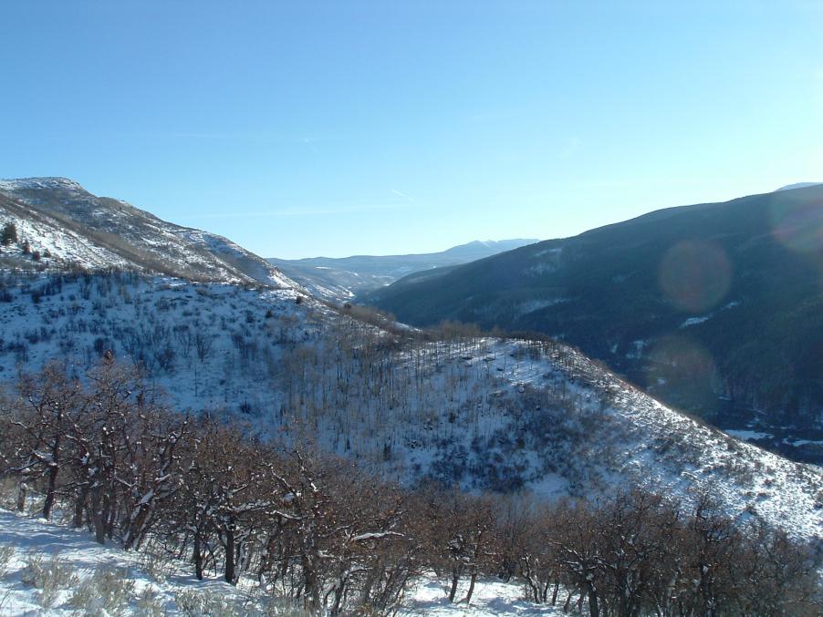 DSCF1098