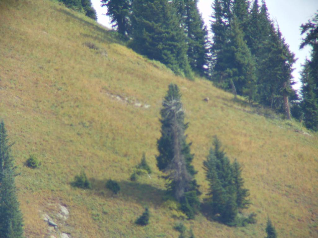 DSCN0343