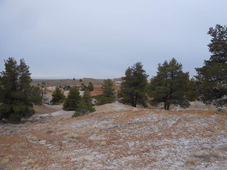 DSCN0438