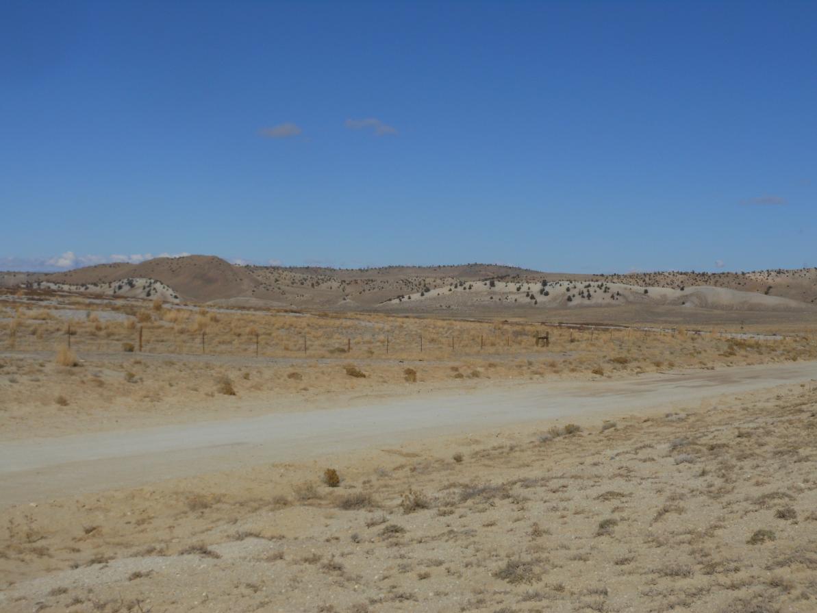 DSCN0485