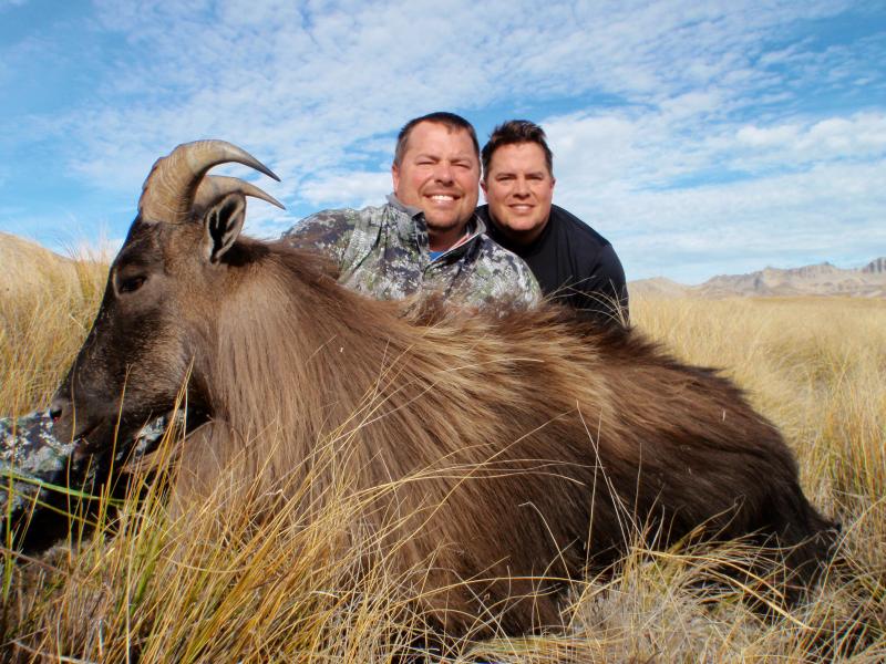 Early season Bull March 2014.