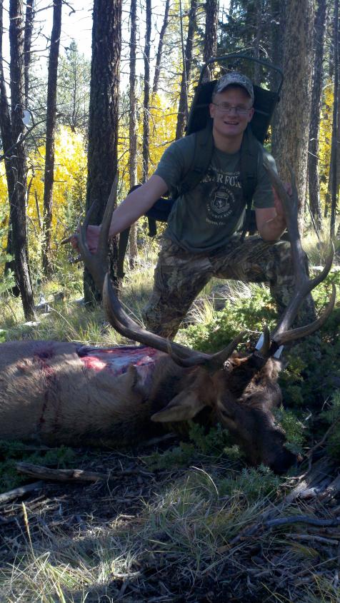 elk 04