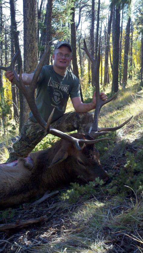 elk 05