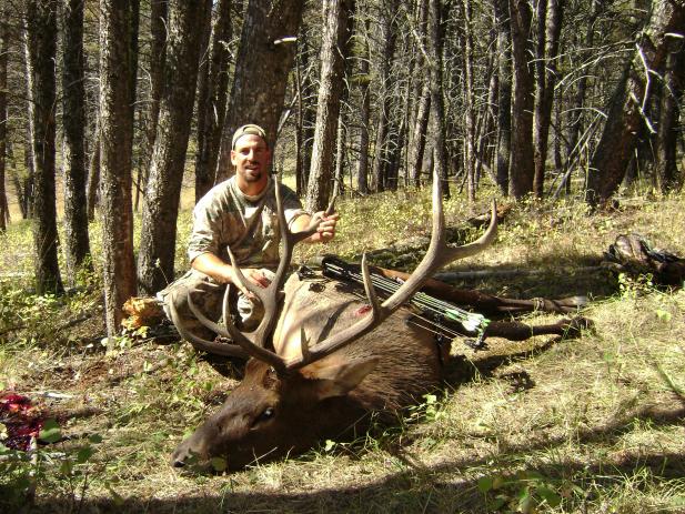 elk 09 010
