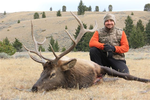 Elk 11 089