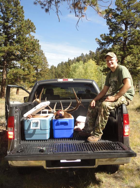 elk 13
