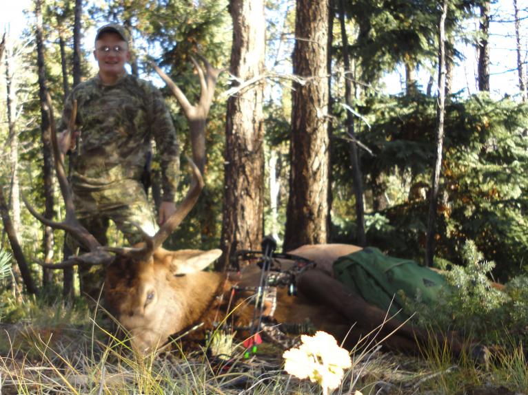 elk 15