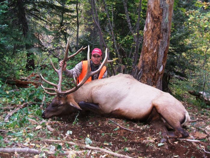 elk hunt idaho 2008