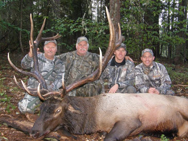 elk1
