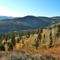 elk2