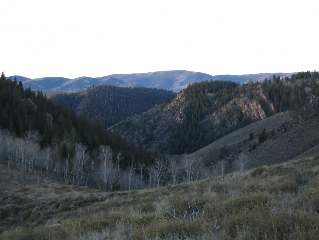 elkhunt07 001