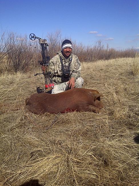 First Bow Kill, 2012 Utah
