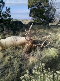 get attachment 1.aspx