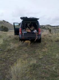 get attachment 12.aspx