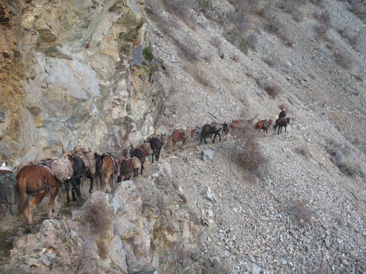 Heading home after a long season